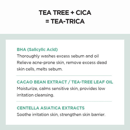 Skin1004 Madagascar Centella Tea-Trica BHA Foam 125ml